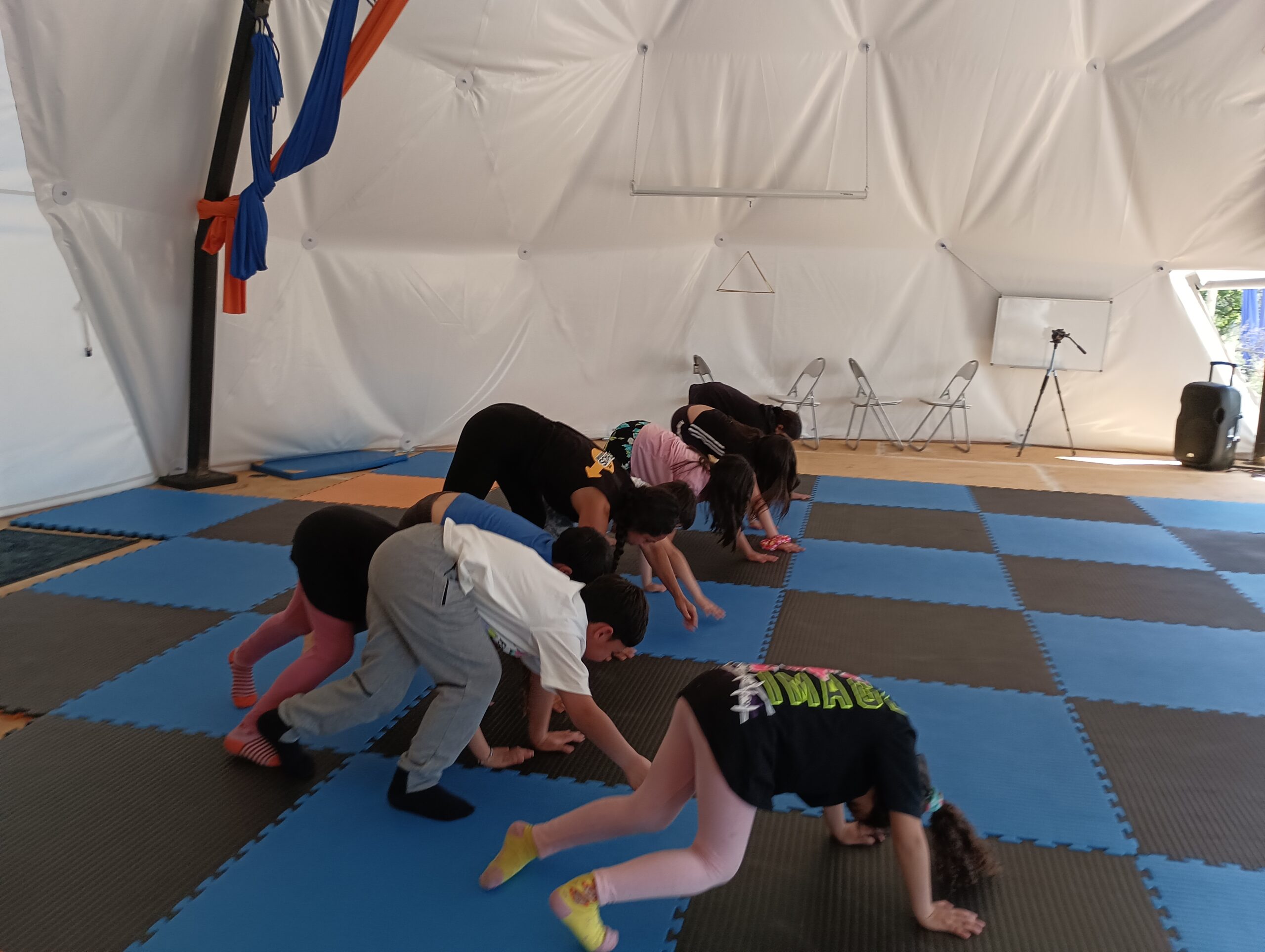 IMG_20231015_153548 IMG_20231015_153548