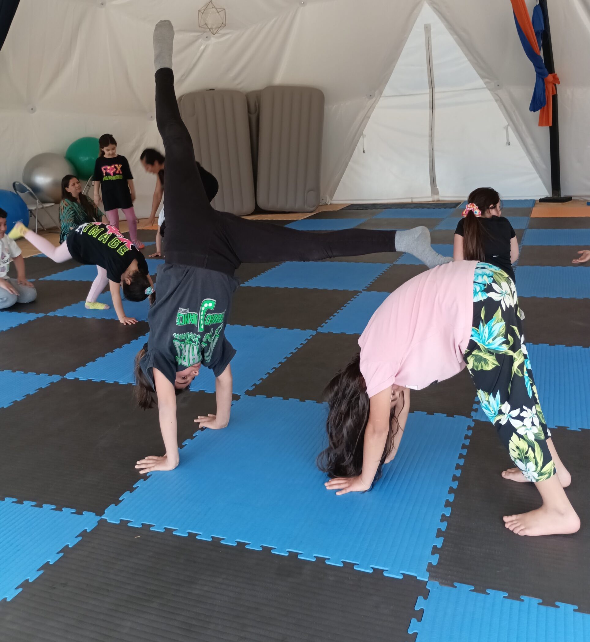 IMG_20231015_155234 IMG_20231015_155234