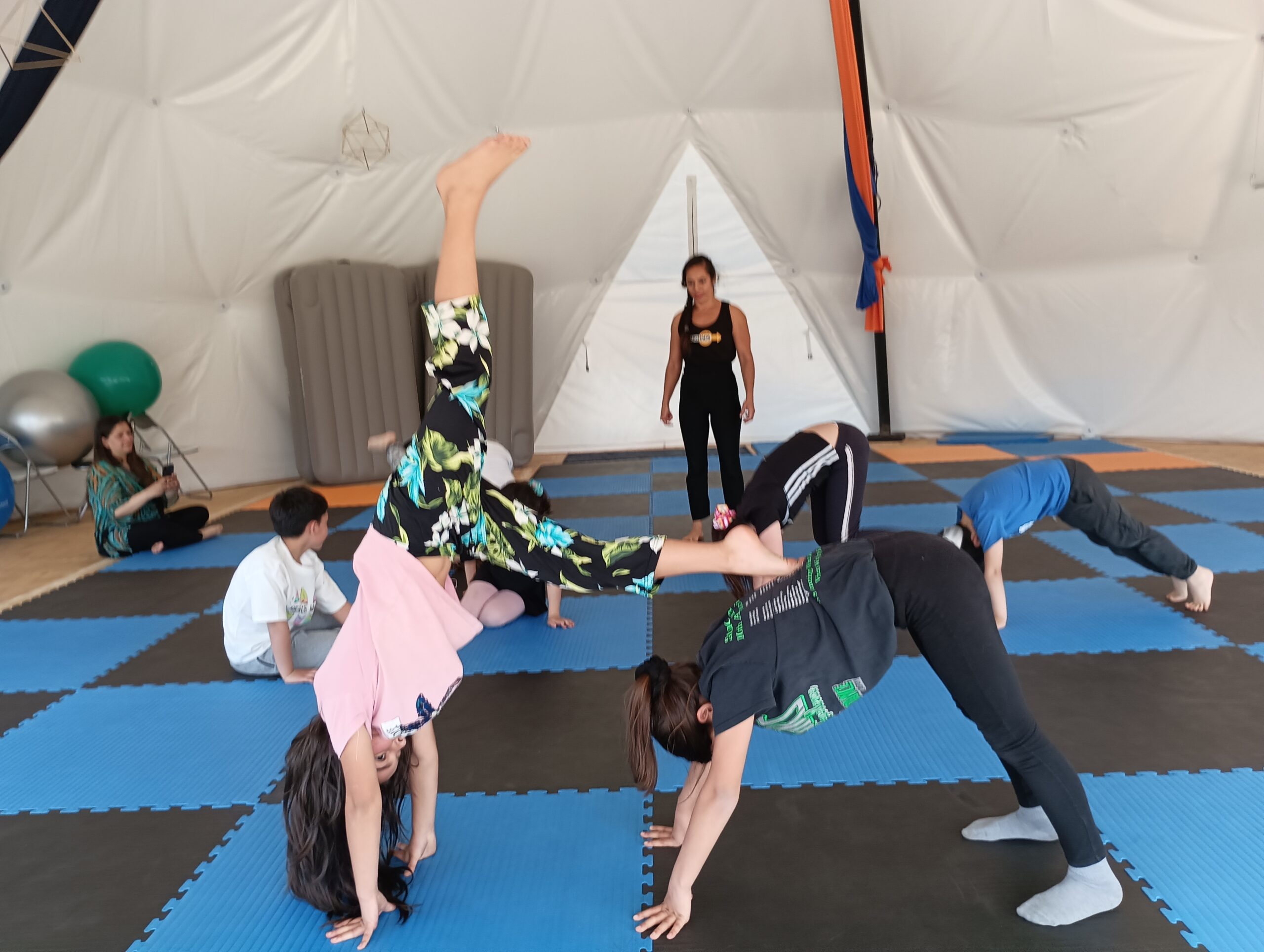 IMG_20231015_155306 IMG_20231015_155306