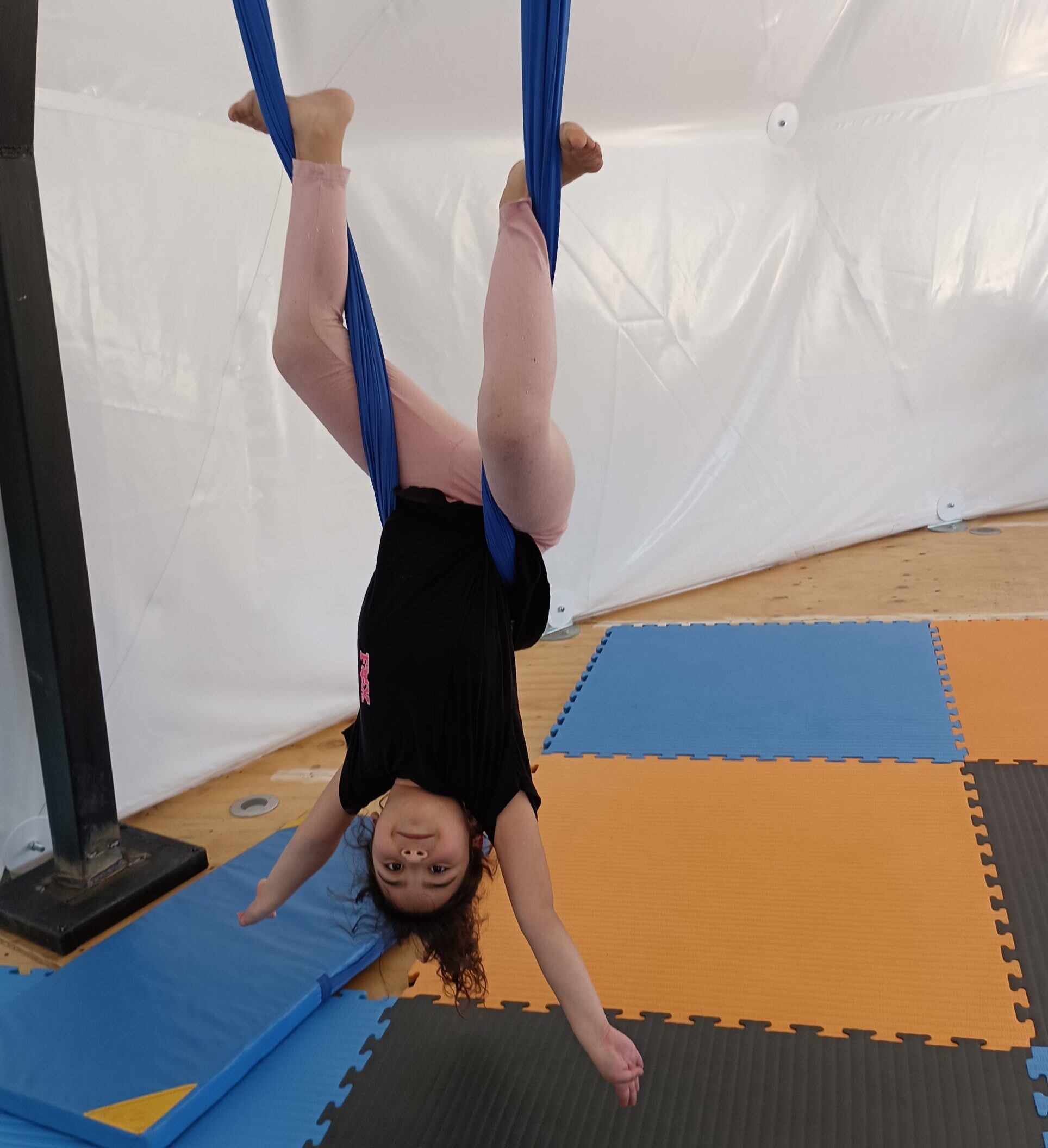 IMG_20231015_164453 IMG_20231015_164453