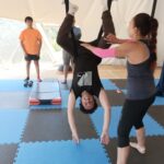 IMG_20231126_124627 IMG_20231126_124627